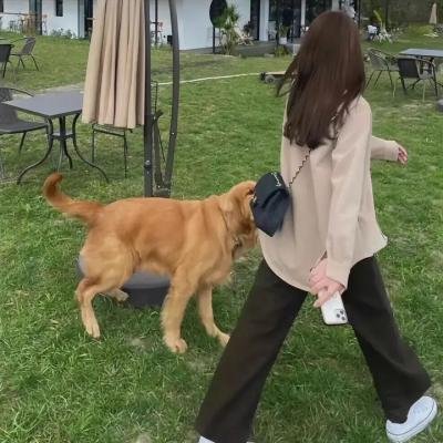 夏日春情